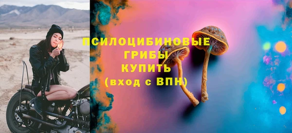 первитин Богородицк