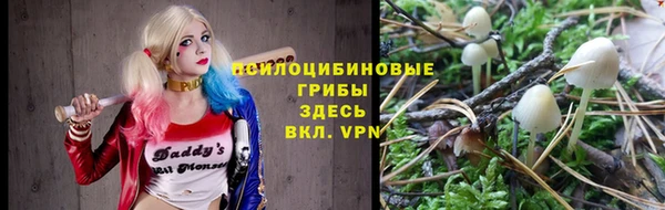 первитин Богородицк
