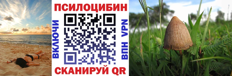 Псилоцибиновые грибы MAGIC MUSHROOMS Новосибирск